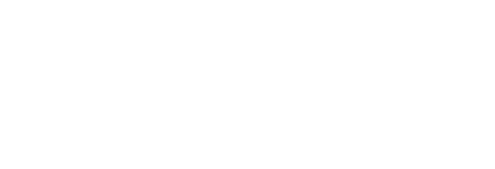 Big Kitty Labs